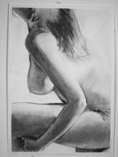 torso1