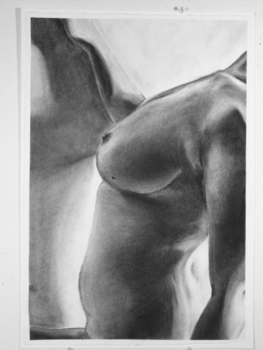 torso3