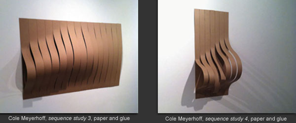 Cole Meyerhoff artworks